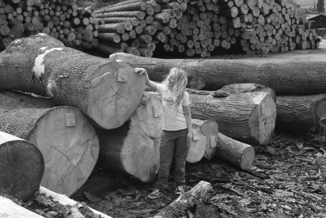 Unser Holz